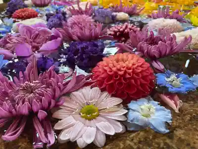 鶴岡八幡宮(神奈川県)