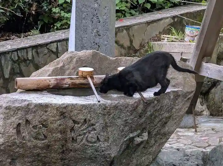 王子神社(徳島県)