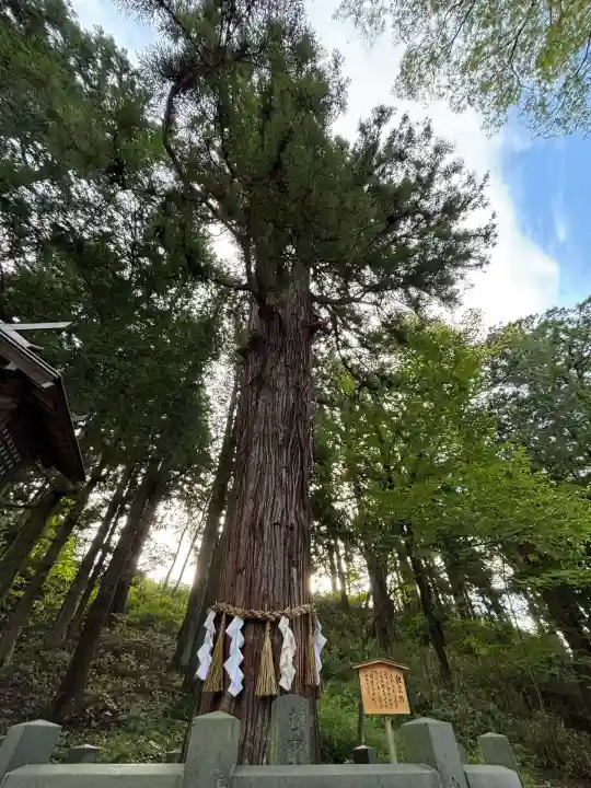 諏訪大社下社春宮(長野県)