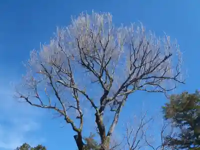 八柱神社(愛知県)