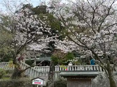 太宰府天満宮の{uncategorized: "未分類", other: "その他", undefined: "問題あり", building: "その他建物", grave: "お墓", sacred_gate: "鳥居", guardian: "狛犬", statue: "像", buddha: "仏像", history: "歴史", nature: "自然", garden: "庭園", animal: "動物", pagoda: "塔", temizu: "手水舎", mountain_gate: "山門・神門", sanctuary: "本殿・本堂", subordinate: "末社・摂社", art: "芸術", scenery: "景色", jizo: "地蔵", ema: "絵馬", goshuin: "御朱印", omikuji: "おみくじ", items: "授与品その他", amulet: "お守り", goshuincho: "御朱印帳", eats: "食事", festival: "お祭り", votive_dance: "神楽", shichigosan: "七五三参", wedding: "結婚式", experience: "体験その他", initially: "初詣", around: "周辺", anti_infection: "感染症対策"}