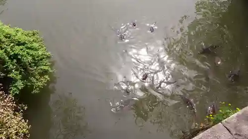 三嶋大社(静岡県)