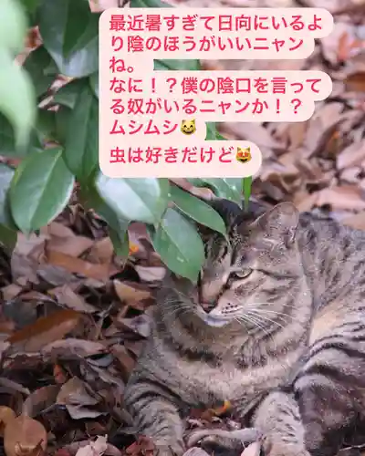 専念寺(大阪府)