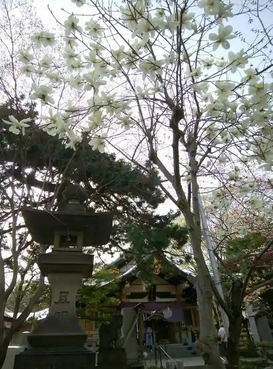 彌彦神社 (伊夜日子神社)の自然