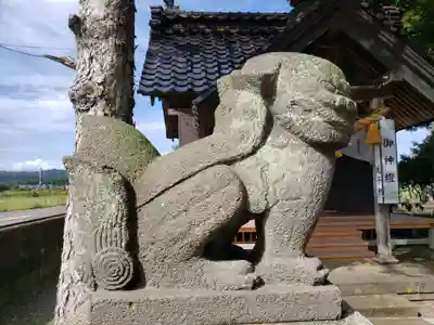 藤巻神社の狛犬