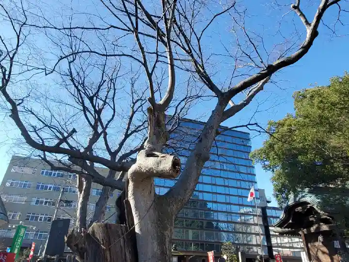 阿邪訶根神社のその他建物