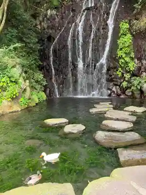 玉簾神社の自然
