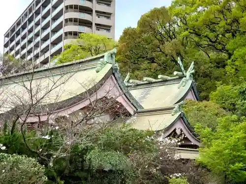 照國神社の本殿・本堂