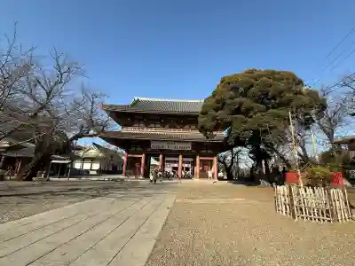 池上本門寺の{uncategorized: "未分類", other: "その他", undefined: "問題あり", building: "その他建物", grave: "お墓", sacred_gate: "鳥居", guardian: "狛犬", statue: "像", buddha: "仏像", history: "歴史", nature: "自然", garden: "庭園", animal: "動物", pagoda: "塔", temizu: "手水舎", mountain_gate: "山門・神門", sanctuary: "本殿・本堂", subordinate: "末社・摂社", art: "芸術", scenery: "景色", jizo: "地蔵", ema: "絵馬", goshuin: "御朱印", omikuji: "おみくじ", items: "授与品その他", amulet: "お守り", goshuincho: "御朱印帳", eats: "食事", festival: "お祭り", votive_dance: "神楽", shichigosan: "七五三参", wedding: "結婚式", experience: "体験その他", initially: "初詣", around: "周辺", anti_infection: "感染症対策"}