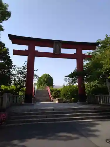 亀戸天神社の鳥居