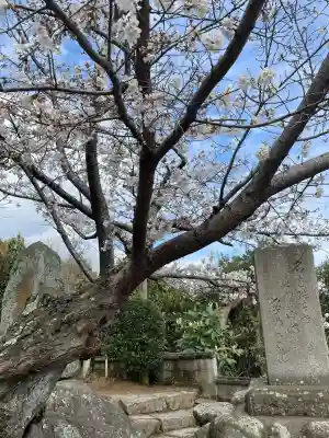 千光寺(広島県)