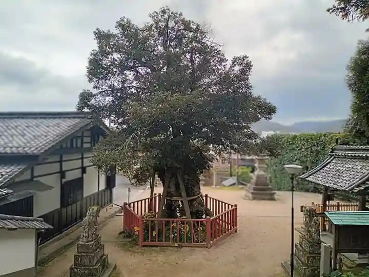 山王宮日吉神社(京都府)