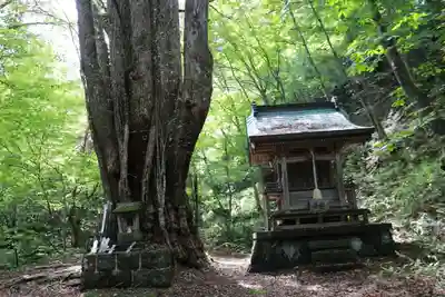 剣桂神社の景色