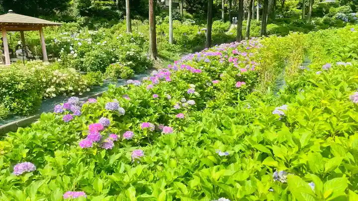 三室戸寺(京都府)