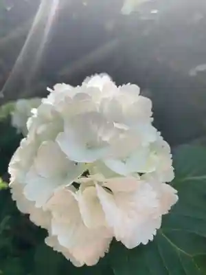 泥牛庵(神奈川県)