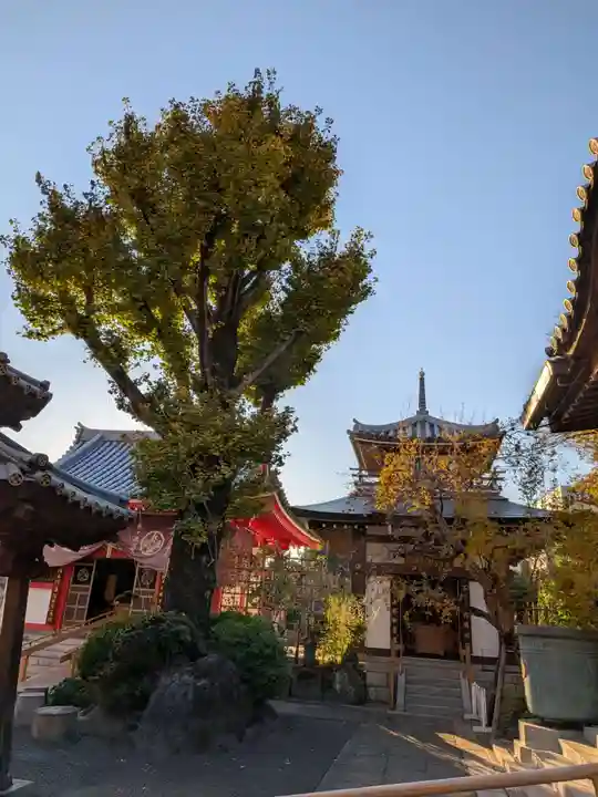 成願寺(東京都)