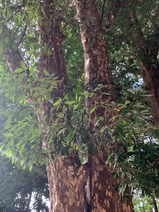 磯部稲村神社(茨城県)