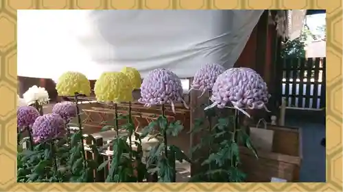 阿佐ヶ谷神明宮(東京都)