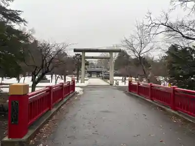 札幌護國神社の鳥居