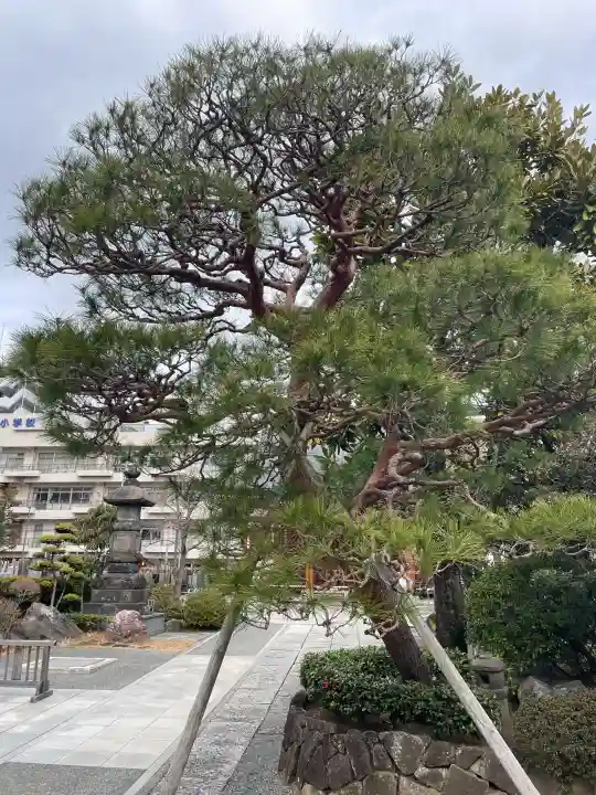 東覺寺の{uncategorized: "未分類", other: "その他", undefined: "問題あり", building: "その他建物", grave: "お墓", sacred_gate: "鳥居", guardian: "狛犬", statue: "像", buddha: "仏像", history: "歴史", nature: "自然", garden: "庭園", animal: "動物", pagoda: "塔", temizu: "手水舎", mountain_gate: "山門・神門", sanctuary: "本殿・本堂", subordinate: "末社・摂社", art: "芸術", scenery: "景色", jizo: "地蔵", ema: "絵馬", goshuin: "御朱印", omikuji: "おみくじ", items: "授与品その他", amulet: "お守り", goshuincho: "御朱印帳", eats: "食事", festival: "お祭り", votive_dance: "神楽", shichigosan: "七五三参", wedding: "結婚式", experience: "体験その他", initially: "初詣", around: "周辺", anti_infection: "感染症対策"}