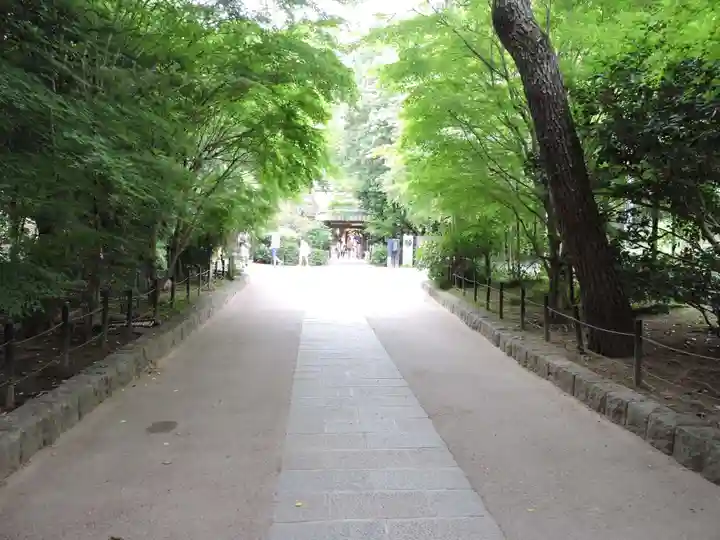 宇治上神社(京都府)