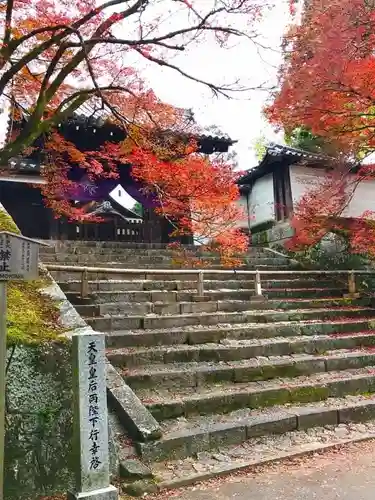 曼殊院門跡(京都府)