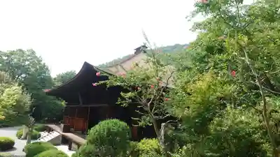 大善寺(山梨県)