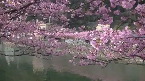 かっぱの寺 栖足寺の自然