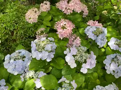 長谷寺(神奈川県)