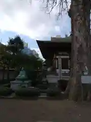 總持寺の像