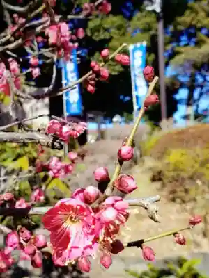中野沼袋氷川神社(東京都)