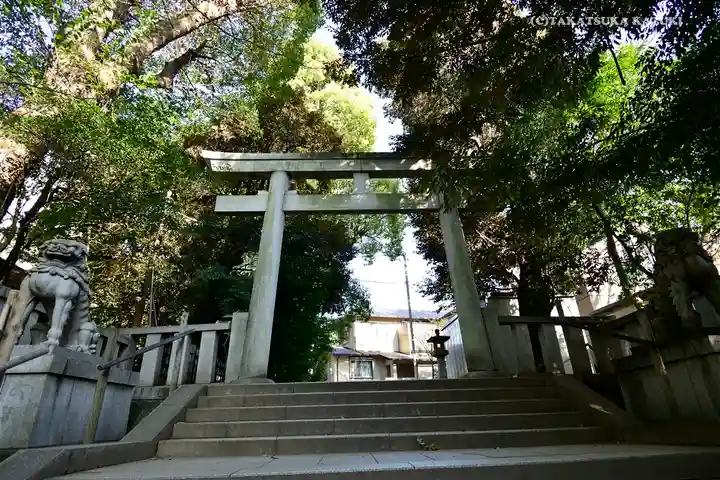 渋谷氷川神社の鳥居