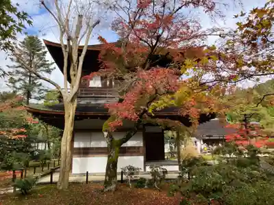 慈照寺（慈照禅寺・銀閣寺）(京都府)