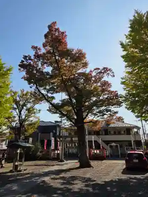稲荷神社(神奈川県)