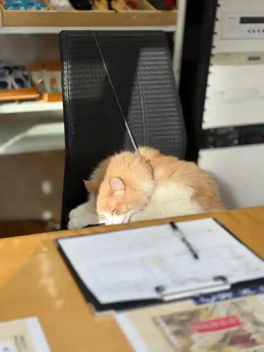 駒込妙義神社(東京都)