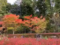 匠神社(岐阜県)