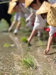 山家神社のお祭り