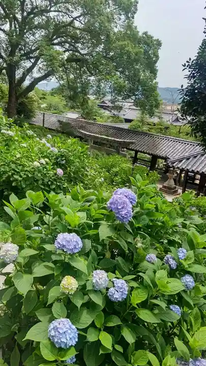 吉備津神社(岡山県)