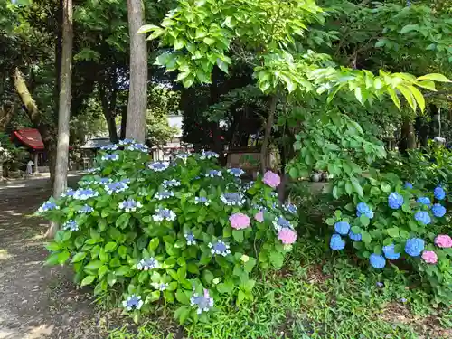 清洲山王宮　日吉神社の庭園