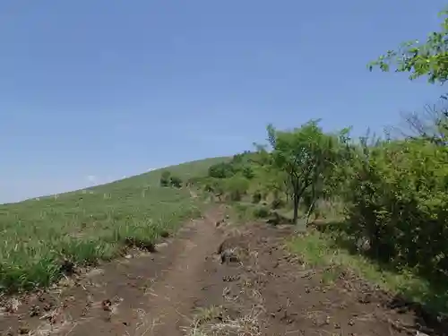 諏訪神社奥宮の自然