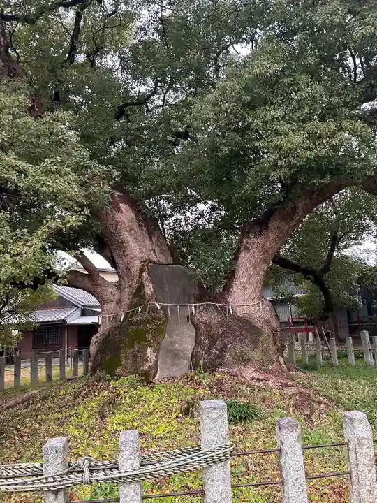 村上社(愛知県)