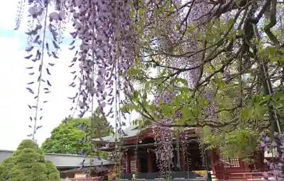 笠間稲荷神社(茨城県)