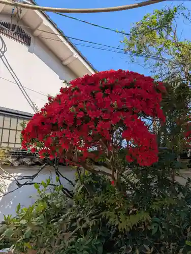 観音寺(岡山県)