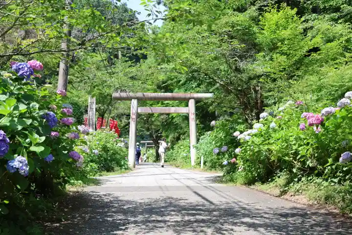 太平山神社(栃木県)
