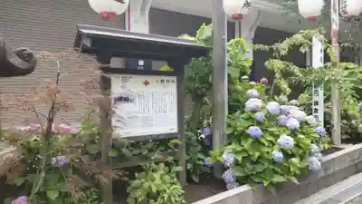 小動神社(神奈川県)