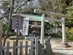 白旗神社(西御門)の鳥居