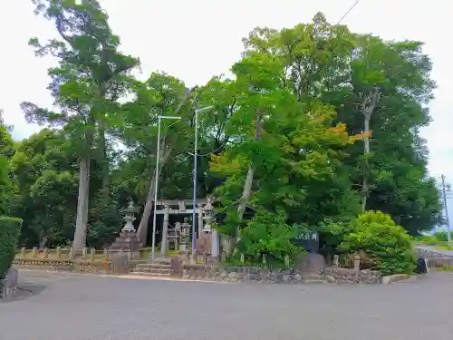 八幡社（西）の自然