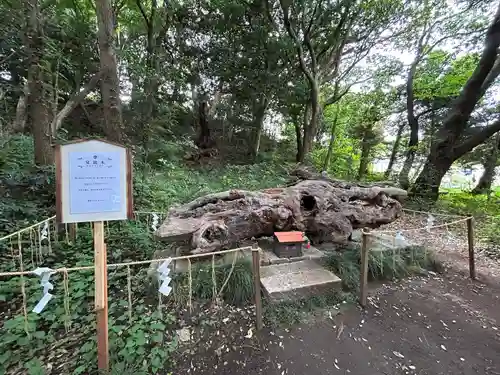 泉神社(茨城県)