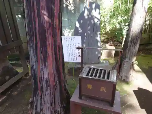 くまくま神社(導きの社 熊野町熊野神社)のその他建物