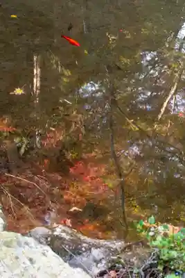 大矢田神社(岐阜県)